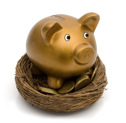 the golden investment pig