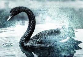 GOLD PROTECTION IN A BLACK SWAN CLIMATE