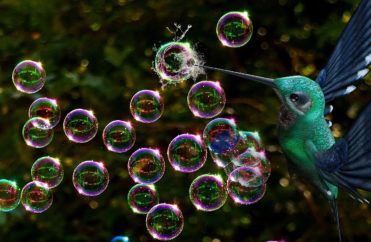 Investing.com: Searching for a Stock Bubble Pin