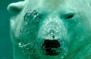 Business Insider: The Market is ‘Still in a State of Delusion,’ Says a Hedge Fund Chief, Stocks Have the Potential to Fall Another 78%
